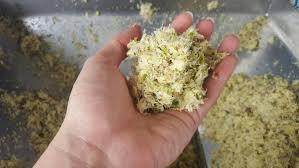 Silage de maïs du Vietnam - Bagasse de canne à sucre - SILAGES pour CHEVAUX - Product Image 3