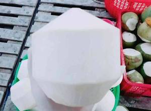 Noix de coco fraîche naturelle de qualité supérieure à vendre noix de coco en forme de diamant - Product Image 4