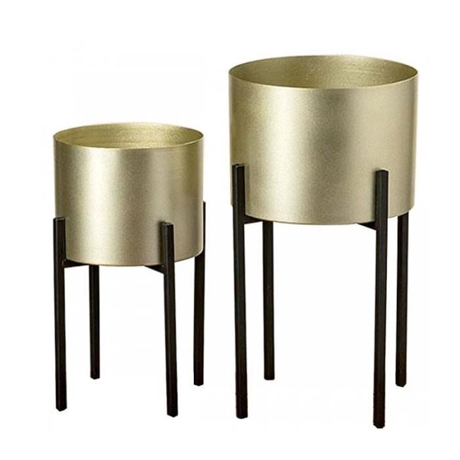 สีดำ &amp; สีทอง