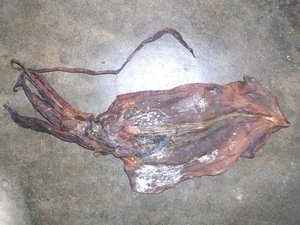 ปลาหมึกดำแห้งจากเวียดนาม - ราคาถูก // อาหารทะเลคุณภาพสูงจากเวียดนาม // คุณบีทริกซ์ - Product Image 6