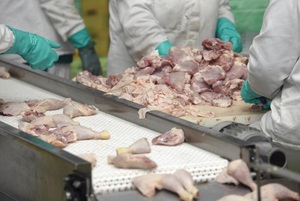 Muslos de Pollo Halal Premium Limpios, Sin Mal Olor, Sin Sangre, Sin Moretones, Empaquetado a Granel, Precio Bajo, Congelados - Product Image 3
