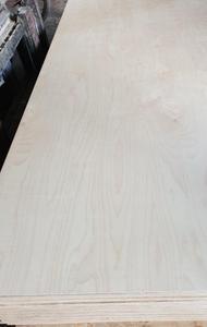 CARB P2 CONTREPLAQUÉ COMMERCIAL - Product Image 5