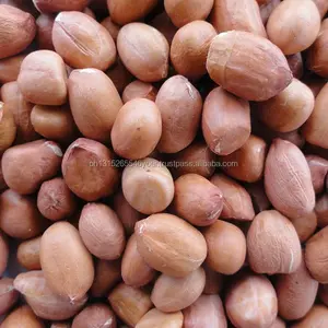 Cacahuetes en crudo/cacahuetes en concha