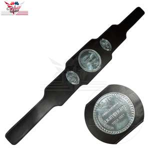 Ceinture de titre du championnat de boxe écossais, ceinture du conseil de la zone suédoise 2022 sur mesure - Product Image 1