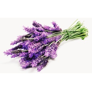 Huile essentielle de lavande pure pour l'exportation disponible en tailles en vrac - Product Image 2