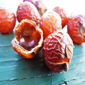 Noix de savon pour le nettoyage/ Noix de savon biologiques - Product Image 1