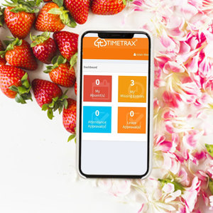 Soluciones de gestión de empleados | Los mejores servicios de gestión de empleados de ProtoLabz EServices - Product Image 3