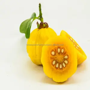 Gomitas adelgazantes de Garcinia Cambogia, Garcinia para pérdida de peso