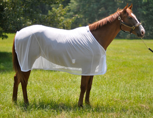 ผู้จัดจำหน่ายชั้นนำของพรมตาข่ายม้าที่มีคุณภาพสูง - Product Image 4