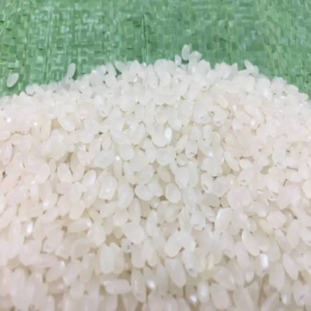 Высокое качество, Вьетнам, 5% сломанный короткий рис