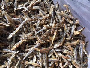 Anchoas Secas Pequeñas a Precio Competitivo para Exportación, Venta al por Mayor de Pescado Seco - Product Image 2