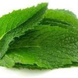 น้ำมันหอมระเหยกานพลูบริสุทธิ์100% เกรดพรีเมี่ยม - Product Image 5