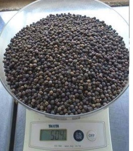 Meilleur prix sur le poivre du Vietnam séché du fabricant 500g/l à 550g/l Vente à chaud Goût épicé Traitement cru - Product Image 5