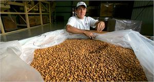 เมล็ดอัลมอนด์ badam แบบดิบเมล็ดอัลมอนด์ออแกนิคโภชนาการสูงออร์แกนิก - Product Image 4