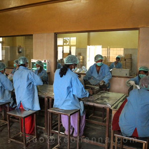 ผงสารสกัดจากผลไม้ Amla ออร์แกนิกบริสุทธิ์มีวิตามินซีสูงสำหรับบรรจุในถุงบรรจุชิ้นส่วนใบผม - Product Image 6