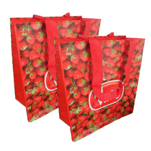 Bolsa de compras tejida de 2018 PP de Vietnam, superventas - Product Image 1