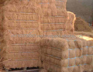 Meilleure vente de fibre de coco au Vietnam - Product Image 5