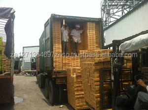 Nueces de Pecana Orgánicas de Primera Calidad en Oferta, Blanqueadas y Secas, Empaquetado a Granel, Origen Sudáfrica, Proveedores de Alta Demanda - Product Image 4