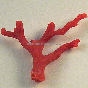 
 
 
 Piedra en Bruto de Coral Natural al por Mayor, Rojo, Sin Cortar, con Certificado de Tasación de Terceros, Origen Finlandia, Personalizable - Product Image 2