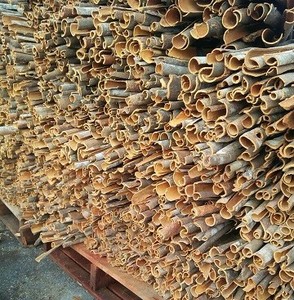 Casse-tensias du Vietnam, au meilleur taux/Top premium de cigares, fente - Product Image 3