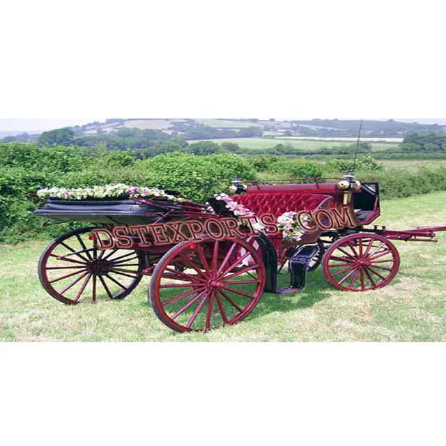 Carruaje de boda indio con diseño de caballo, nuevo fabricante de Victoria