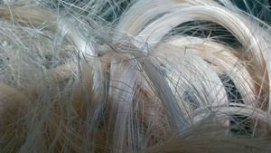 Fibre de sisal naturelle en 1 m, adapté à une variété d'applis comprenant l'art et l'artisanat, et pour les projets de laboratoire - Product Image 5