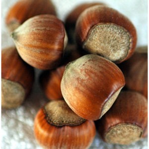 Huile organique pure de graines de noisette 100% huile de support pressée à froid pour l'aromathérapie de massage de cheveux de peau - Product Image 4