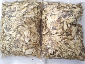 TÉ DE ARALIA MING DE VIETNAM - Product Image 6