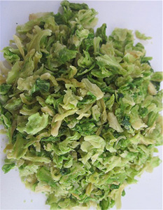 กะหล่ำปลีสดที่มีคุณภาพสูงด้วยราคาที่ดีที่สุด2023 - Product Image 5