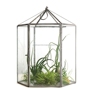 Geométrica Terrario de vidrio colgante florero casa decoración rayo decoración y Diwali iluminación regalo artículo plantas terrarios - Product Image 1