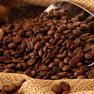 Granos de cacao Raw Trinitario de grado A en bolsas de 25kg de Sudáfrica a la venta - Product Image 4