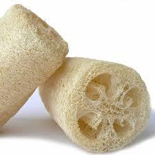 ฟองน้ําเวียดนาม LOOFAH/ LUFFA ในราคาที่ถูกที่สุด - Product Image 4