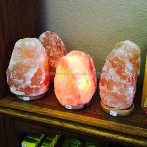 Himalaya Natuurlijke Vorm Crystal Rock Zout Lamp