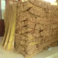 Coconut Broom Stick with Farmer Price, Hot Deals!!!