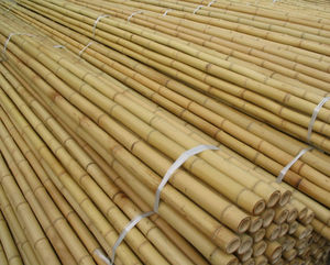 ธรรมชาติที่มีคุณภาพสูงไม้ไผ่เสาขาย - Product Image 3