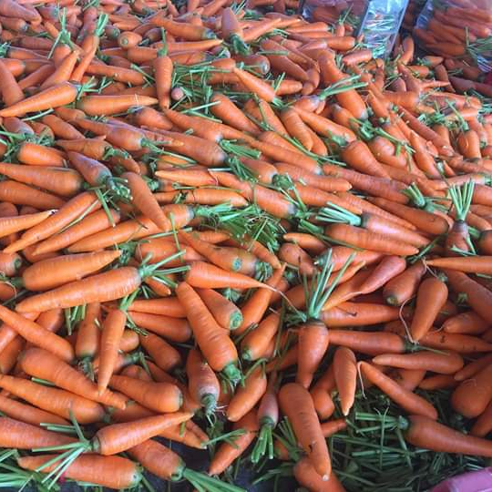 Морковь предложения. Описание морковки. Морковь предложения. Морковь словарное слово 2 класс. Морковь предложения.