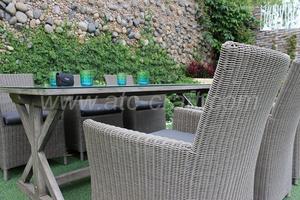 Conjunto de comedor de lujo, muebles de mimbre, RADS-022 estilo 3 - Product Image 2