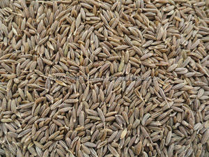 South African Black Cumin Seeds Premium Grade <b>Baked</b> Dried AD Customized Label High Quality <b>Gift</b> <b>Set</b> 1kg Aromatic - Product Image 2