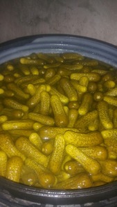 Dưa chuột muối trong trống/Dưa chuột muối <span class=keywords><strong>3</strong></span> - 6cm - Product Image 2