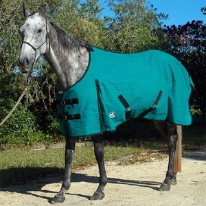 Manta Impermeable para Caballo sin Cuello, de Lona Resistente, de Algodón, para Establos y Exteriores - Product Image 6