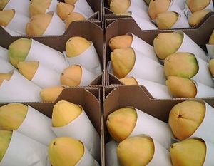 Selling <b>Papaya</b> From Vietnam in 2020 - Product Image 3