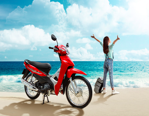 Mejor Venta de motor de engranaje 110cc fabricado en Vietnam (número de modelo: HVWA110) - Product Image 2