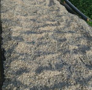 Báscula de pescado seco y piel de pescado seca, MS Jennie - Product Image 1