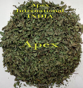 Feuilles de menthe verte séchées Mentha spicata Feuilles de menthe verte séchées - Product Image 2