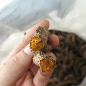 Best Price Turmeric curcumin / Dried turmeric / whatsapp +84 845 639 639