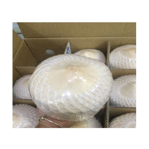 Noix de coco fraîche naturelle de qualité supérieure à vendre noix de coco en forme de diamant - Product Image 1