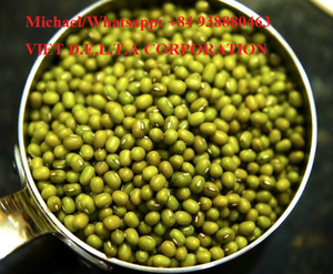 Granos de MOONG de VIETNAM, GREEN GRAM - Product Image 2