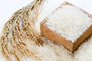 VIET NAM Arroz pegajoso/arroz glutinoso con cantidad a granel - Product Image 2
