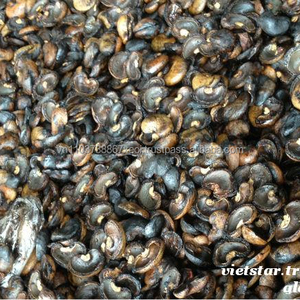 เม็ดมะม่วงหิมพานต์สำหรับเครื่องทำความร้อน,การเผาไหม้ด้วยราคาที่แข่งขันเวียดนามในปี2020 - Product Image 1