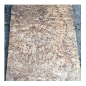 Placage en bois de camphrier doré pour la décoration d'hôtel - Product Image 1